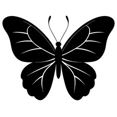 butterfly silhouette vector illustration