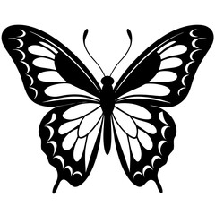  butterfly  silhouette vector illustration