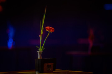 poppy in a vase, beautiful table decoration with poppies