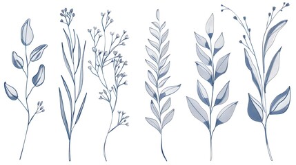 Plant nature hand drawn set. Collection botanical element.