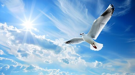 Obraz premium panoramic view of seagull flying in the blue sky