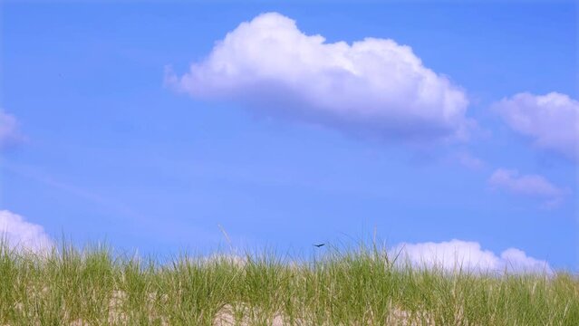 Fluffy clouds drifting in blue sky over sand dunes
