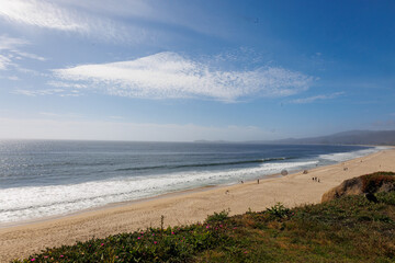 San Francisco area, Half Moon Bay Park with beach, ocean, and wild succulents
