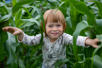 Happy child helping in the garden growing corn