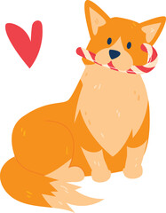 cheerful orange dog, likely Corgi, sports candy cane its mouth sits beside red, background clean white, making dog pop out vividly, colored Corgi sits large candy cane