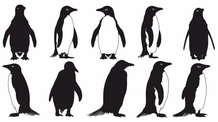 Naklejka premium Identical to the first image, simple vector illustrations of penguins in various poses, for similar use