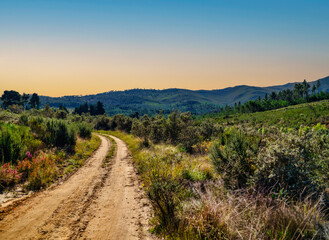 Fototapeta premium 4x4 trail winds its way through a stunning valley and rolling hills in the Outeniqua Mountains, George, South Africa