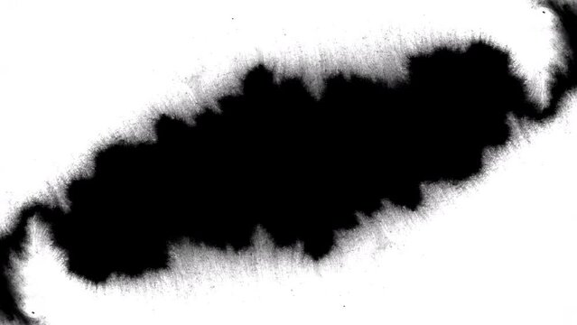 abstract background reveal horror paranormal background artistic grunge artistic flow splatter texture overlay spread inkblot effect grimy creepy intro black and white	
