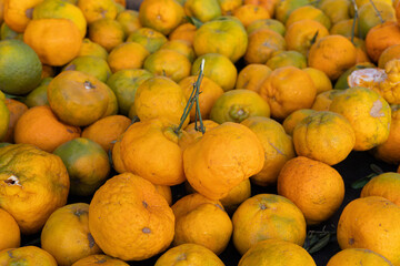 Tangerine Ponkan, Mexirica Ponkan 