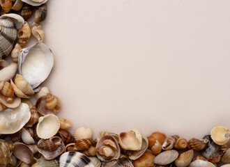 Sea shells frame background. Seashells for wallpaper. Colorful shells. Sea shells background. Marine seashells. Exotic ocean shells. Seashells for backdrop.