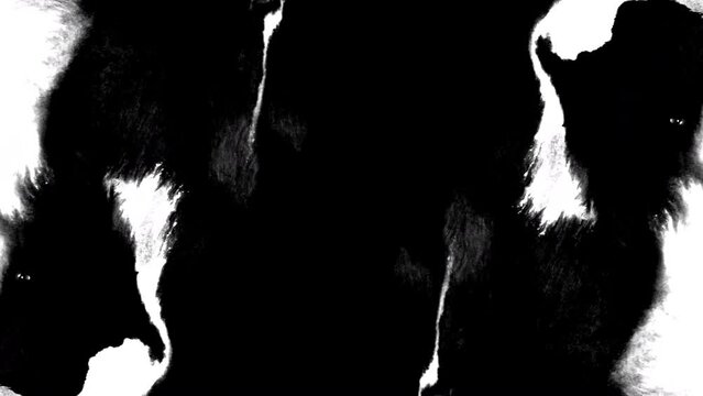 black ink splatter horror paper rorschach face revealing liquid streams transition crossfade movie intro title grunge	
