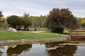 Fototapeta premium pastoral landscape reflected in a pond in autumn