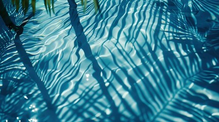 Abstract Tropical Leaf Shadow on Water Surface: Summer Beach Vacation Banner