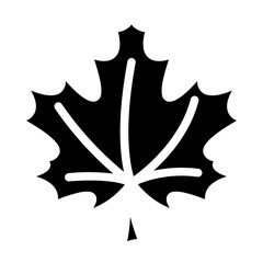 Maple leaf