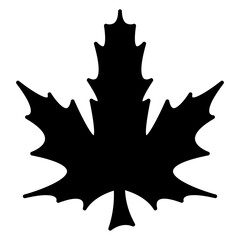 Maple leaf