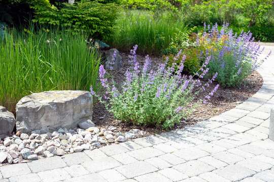 Low maintenance front garden landscaping features decorative armour stone and river rock, no lawn and easy care perennial hosta and ornamental grasses for colour and texture.