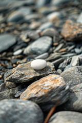 A single, perfectly round pebble among jagged rocks 