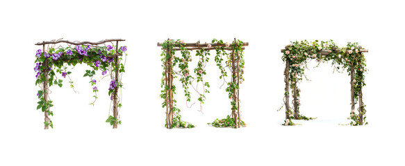 flower vines draped over trellis isolated on white background