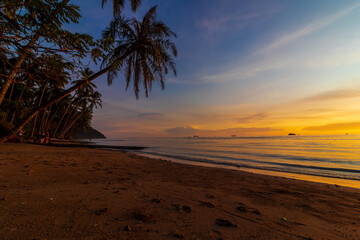 Sunset in a beach with trees in silhouette