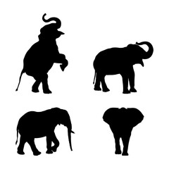 Set of Black Elephant Silhouettes