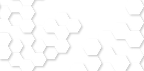 Vector White Hexagonal Background. Luxury White Pattern. Vector Illustration. 3D Futuristic abstract honeycomb mosaic white background. geometric mesh cell texture. modern futuristic wallpaper.