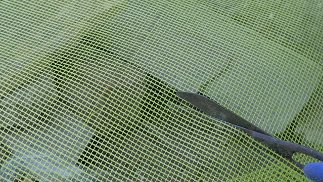 Worker hands cuts plastering mesh. Yellow fiberglass grid. Insulating and waterproofing exterior wall