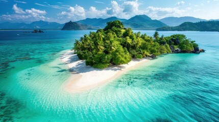A beautiful island with a small beach and a palm tree