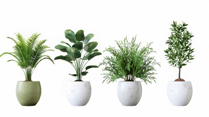 Set of Green plants in potted for interior decoration isolated on white background, Houseplant for decorated in bedroom or living room, minimal natural health concept