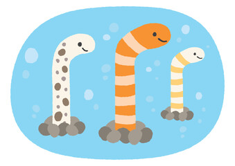 チンアナゴとニシキアナゴのイラスト