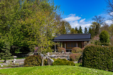 Obraz premium japanese garden in spring