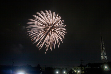 瀬戸の花火