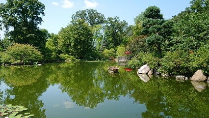 Obraz premium Anderson Japanese Garden in Rockford, Illinois