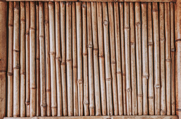 bamboo background
