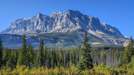 Towering Mountain 