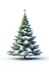 Fototapeta premium Christmas tree plant white.