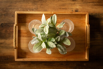 Interior Design coffee table