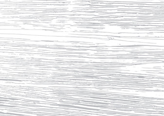 Wood texture background. Board hardwood backdrop. Wooden surface grunge.