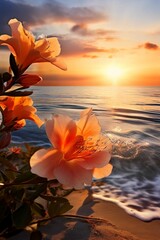 바닷가에핀아름다운꽃