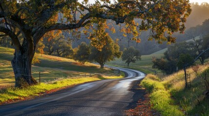 Obraz premium Scenic autumn beauty on countryside drives and nature escapes by picturesque roads