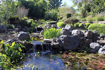 Waterfall and pond surrounded by plants and rocks at the Bundaberg Botanic Gardens in Queensland, Australia