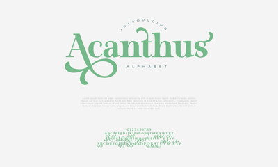 Acanthus premium luxury elegant alphabet letters and numbers. Vintage wedding typography classic serif font decorative vintage retro. creative vector illustration