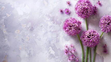 Allium with copy space