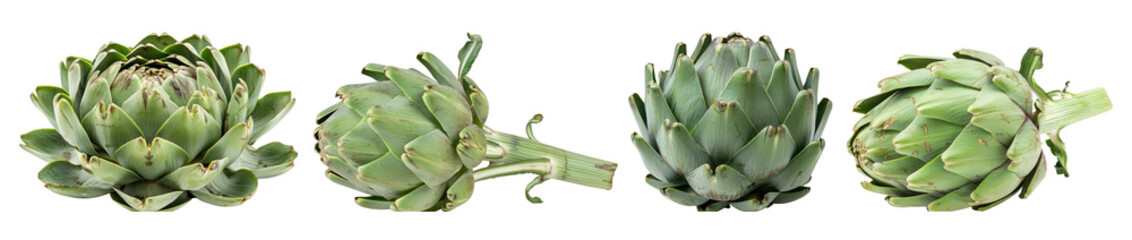 Fototapeta premium Artichoke vegetable food design set
