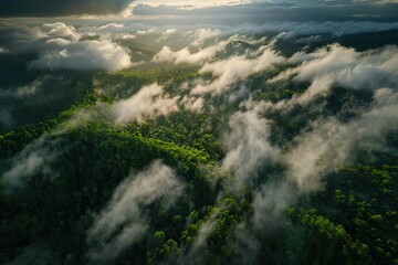 Obraz premium Aerial view of a mist-covered forest at sunrise, revealing lush green trees and rolling hills beneath the clouds.
