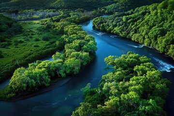 Obraz premium Aerial view of a serene river winding through lush green forest, showcasing natural beauty and tranquil landscape.