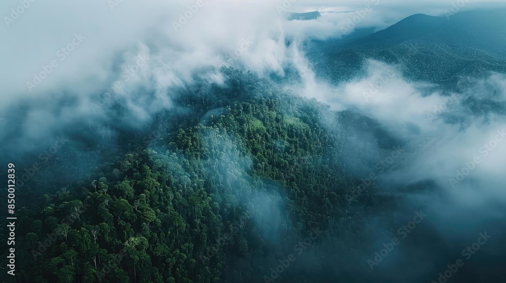 Aufkleber aerial view of misty rainforest covered in lush greenery, surrounded by fog with a mountainous backd