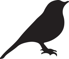 silhouette bird on a branch