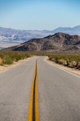 Desert road in Joshua Tree National Park, California, United States of America.