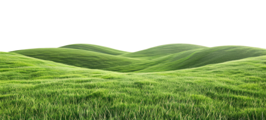 Green grassy hills isolated on transparent background