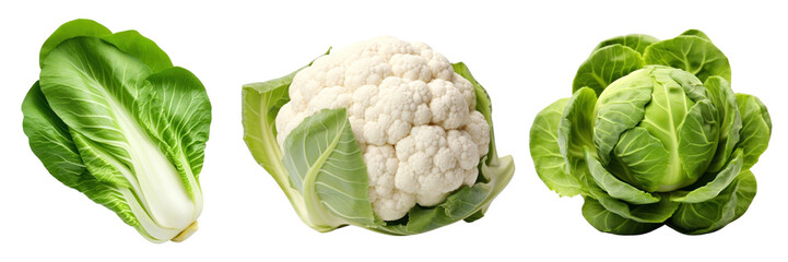 Obraz premium PNG Fresh leafy green vegetables set